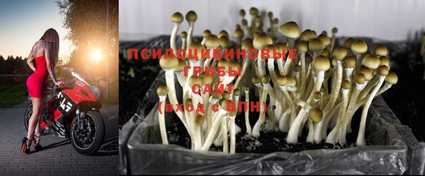 бошки Алзамай