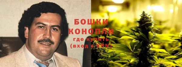 бошки Алзамай