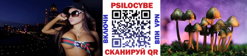 Купить закладки  Урень  Галлюциногенные грибы прущие грибы 